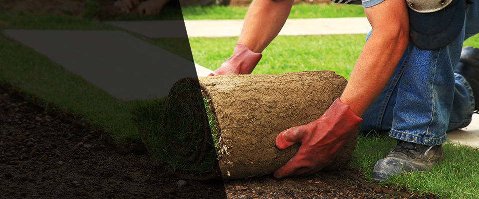 San Marcos Landscapers